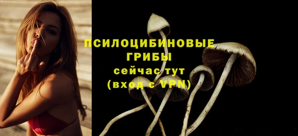 гидропоника Семикаракорск