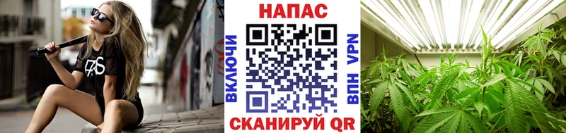 Марихуана сатива  где продают наркотики  Заозёрный 